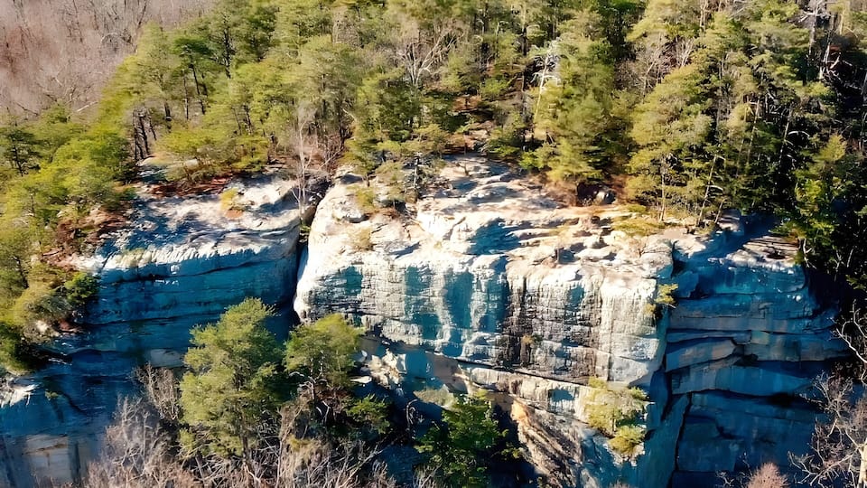 A rocky cliff with a river flowing at its base, surrounded by dense forest.