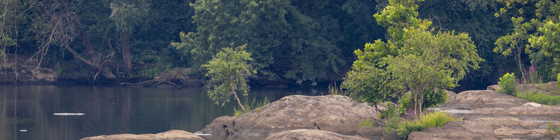 Susquehanna River Rocks