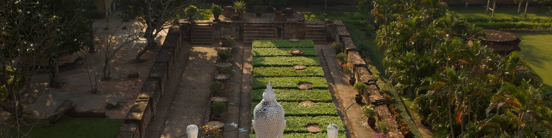 Ayutthaya featuring landscape views, religious elements and a garden