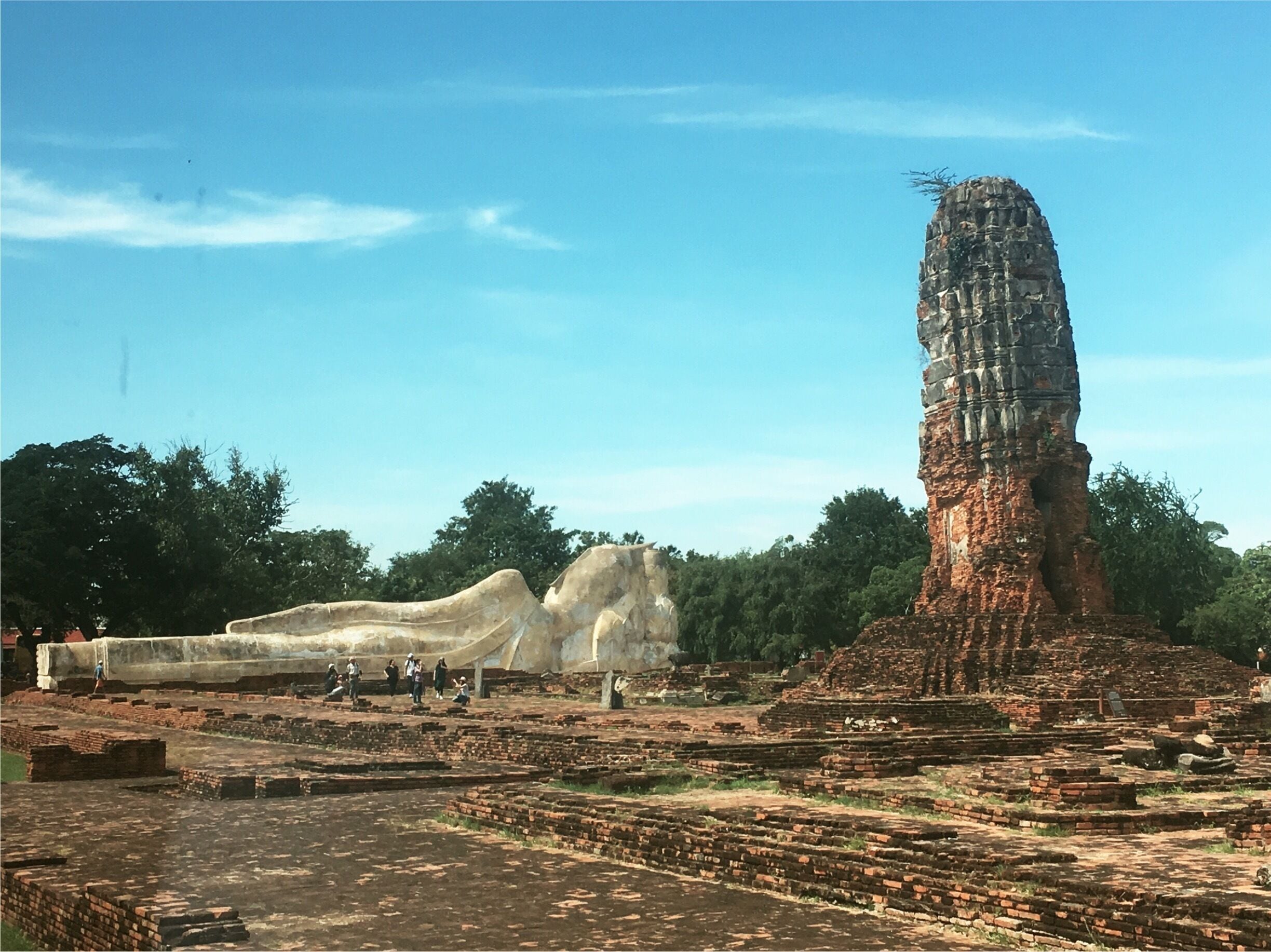 The reclining Buddha is 42 meters in 
length and 8 meters high, and its name is Phra Buddha Sai Yat. The reclining Buddha 
image is aligned to a north/south axis, and it is facing west. All the Buddha’s toes are of 
equal lengths. The arm supporting the head is vertical, instead of being folded as in the 
Early Ayutthaya and U-Thong periods. This vertical arm is a characteristic of reclining 
images made in the Middle Ayutthaya period - after the 16th century (Amatyakul 47). 
The reclining Buddha image is usually wrapped in brightly colored orange cloth.  A small 
altar exists beside it where visitors can make offerings. Many people have covered 
portions of the image in gold leaf.