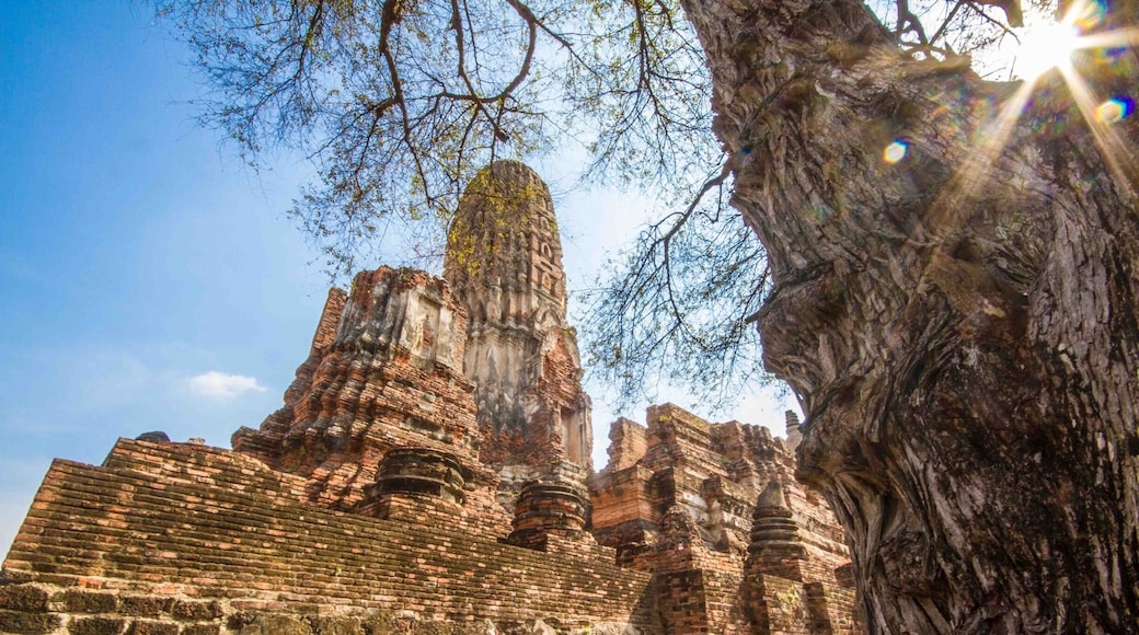 A beautiful sunny day at Wat Phra Ram in #Ayutthaya, #Thailand 🇹🇭