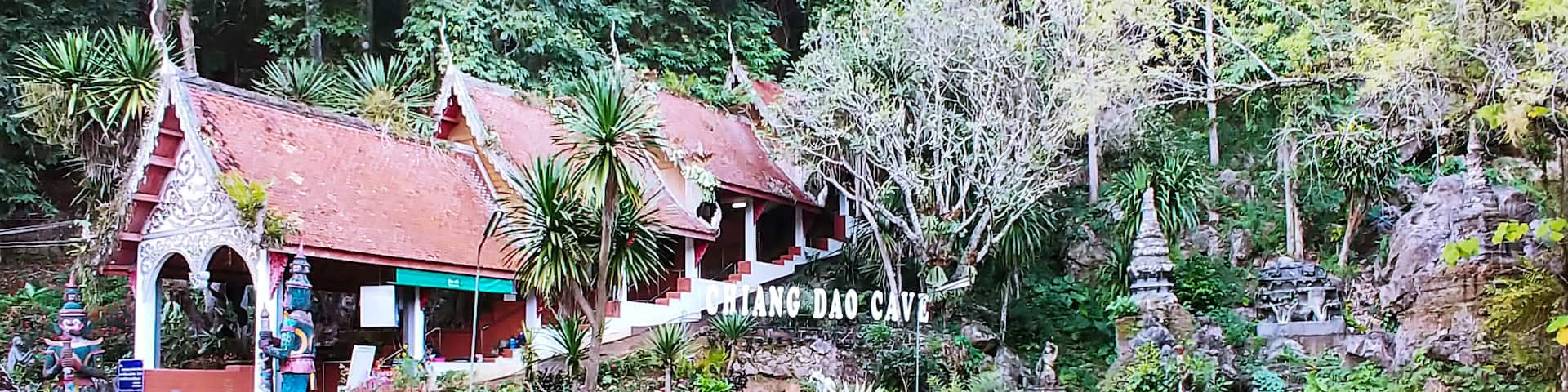 The entrance to Chiang Dao Cave is surrounded by Buddhist symbols and crystal clear blue waters filled with rather large koi and catfish.
The entrance fee for the caves is 40 baht, but i recommend hiring a guide with a lantern to take you a bit deeper into this amazing place. A guide currently costs 200baht (plus tip) and is worth every bit of it. Watch your head and step!
#Trovember #Thailand #ChiangDao #solotravel
