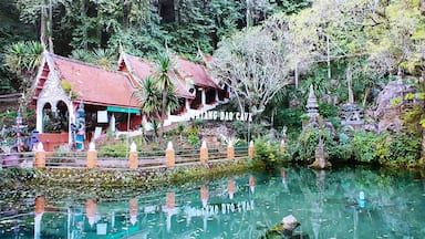 The entrance to Chiang Dao Cave is surrounded by Buddhist symbols and crystal clear blue waters filled with rather large koi and catfish.
The entrance fee for the caves is 40 baht, but i recommend hiring a guide with a lantern to take you a bit deeper into this amazing place. A guide currently costs 200baht (plus tip) and is worth every bit of it. Watch your head and step!
#Trovember #Thailand #ChiangDao #solotravel