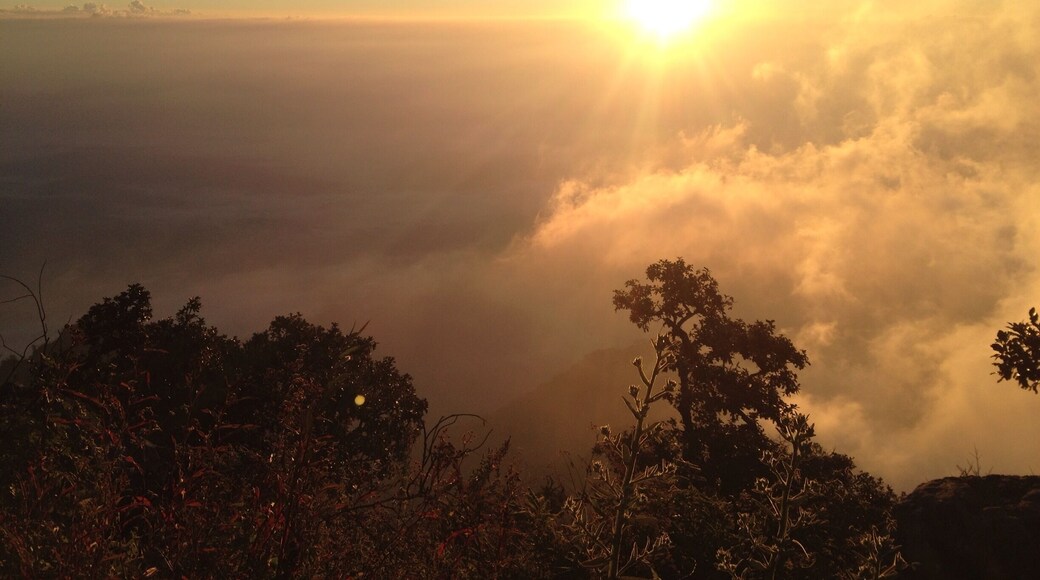 พระอาทิตย์สีเพลิง