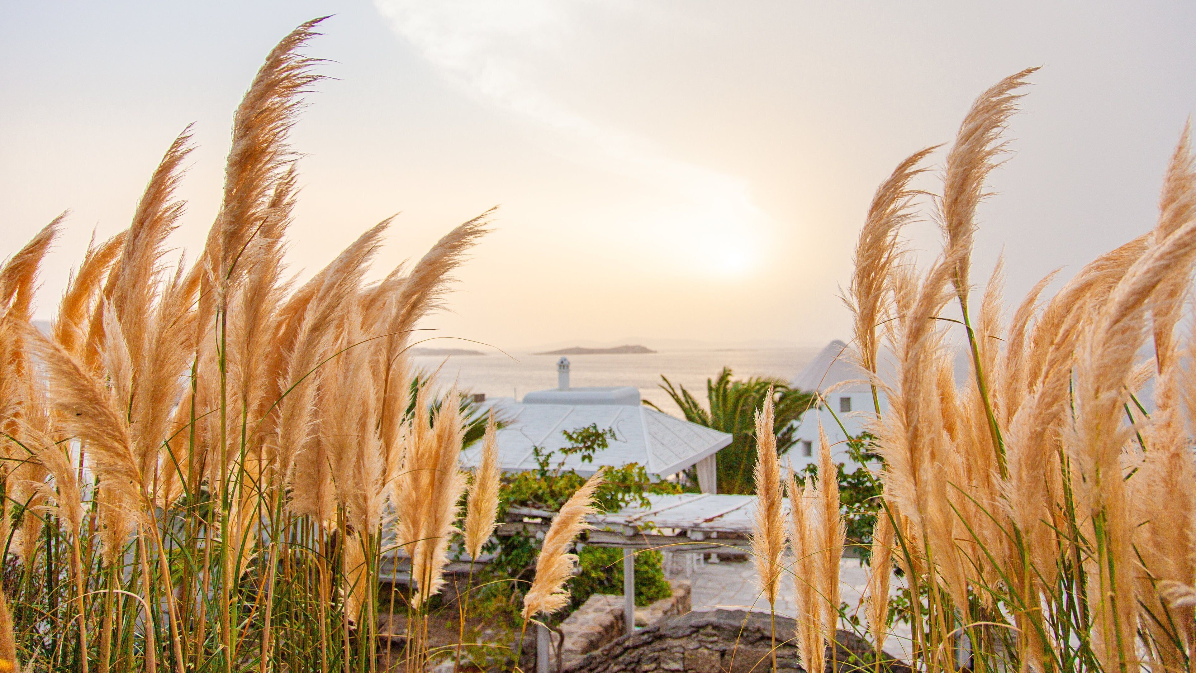 Mykonos Town which includes a sunset