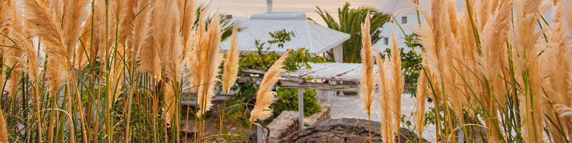 Mykonos Town which includes a sunset