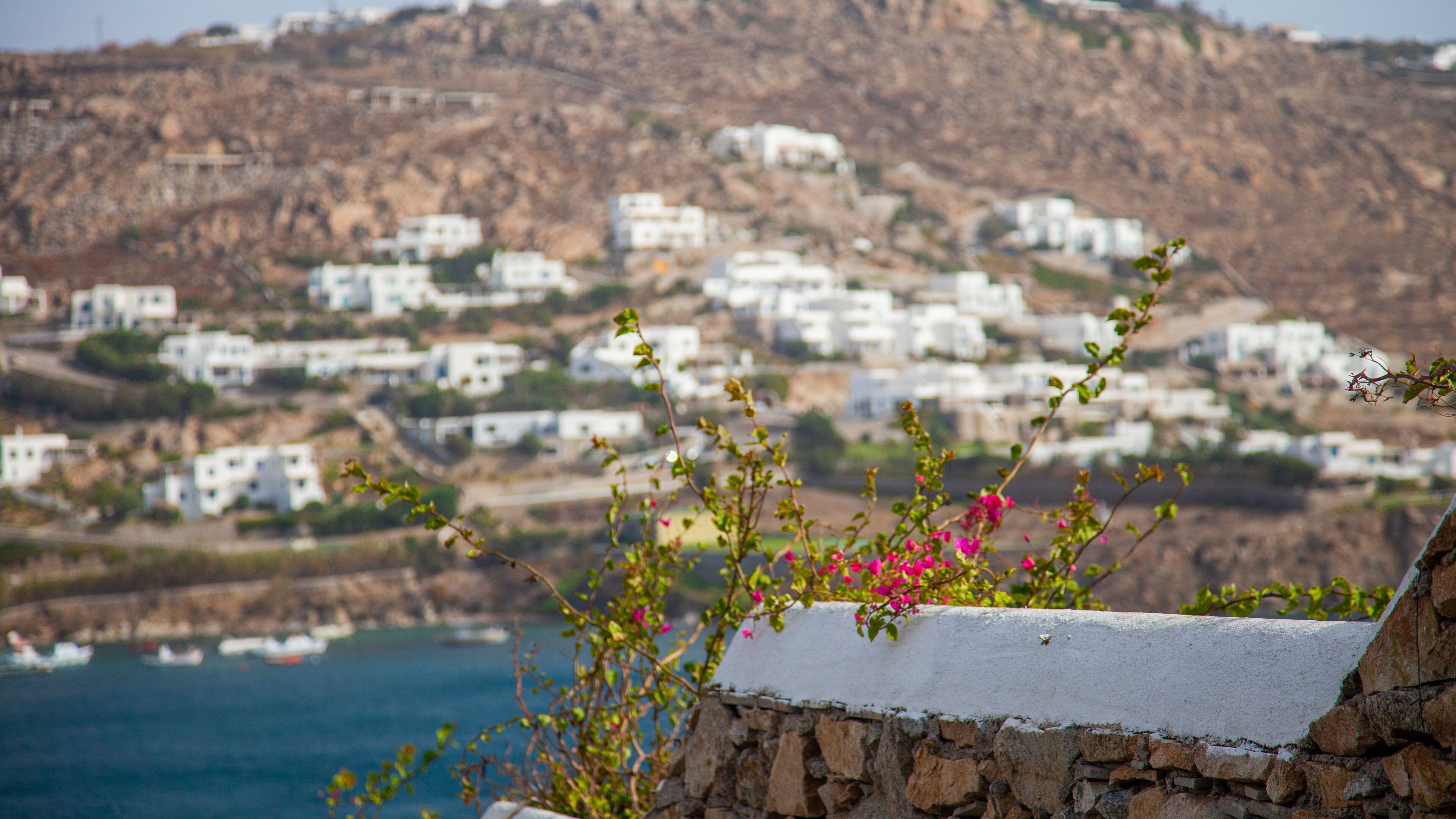 Ornos which includes wildflowers and a coastal town