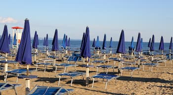 Site archéologique d'Ostie