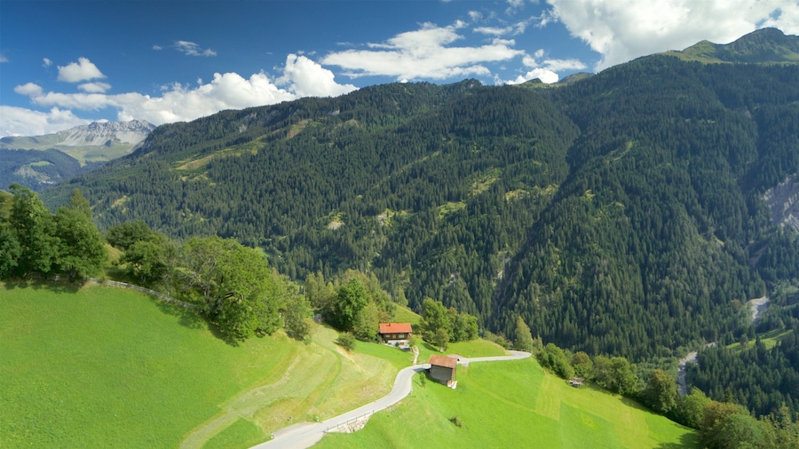 Een bergachtig landschap met een kronkelende weg, een klein huisje en dicht bos.