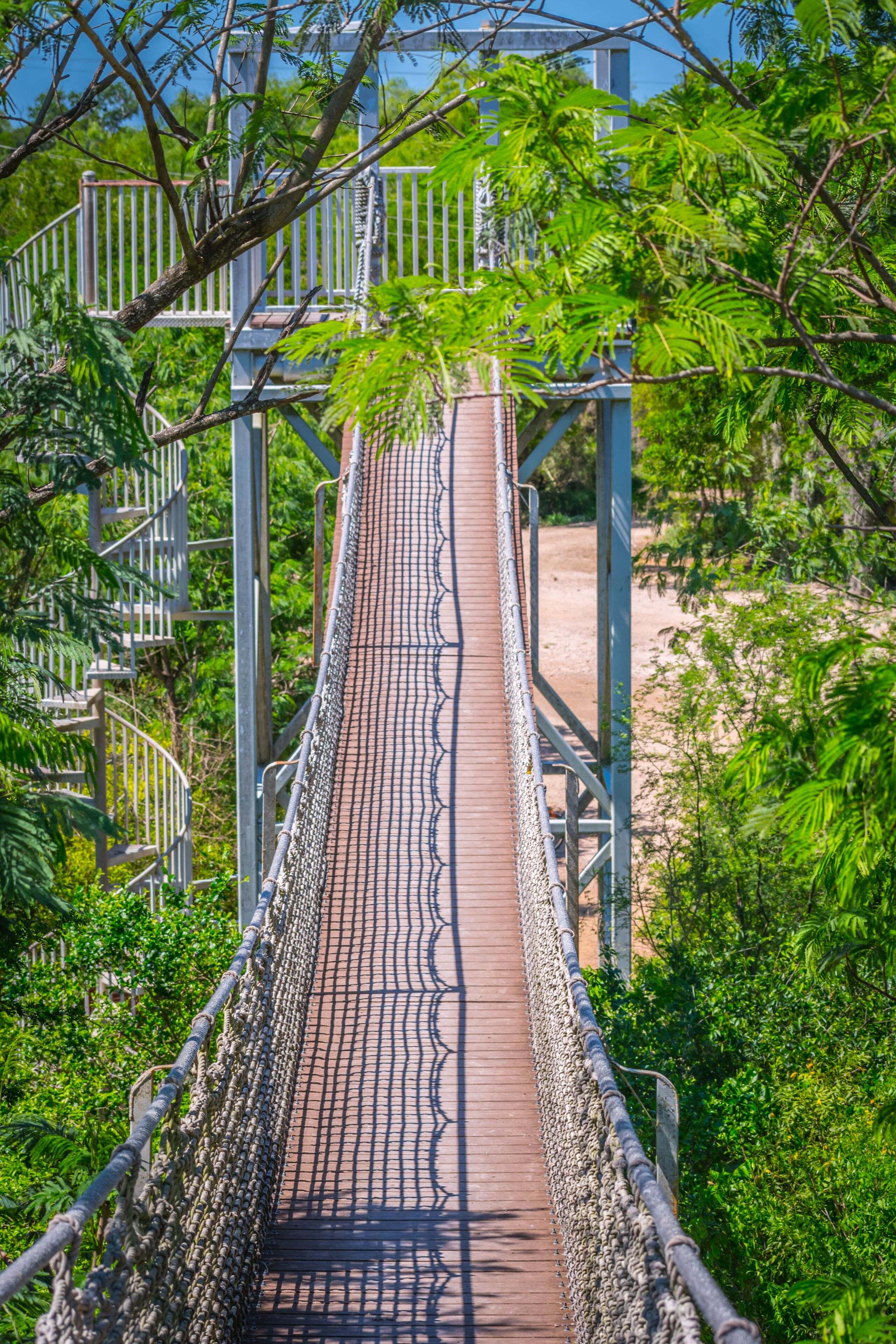 A long canopy walk in Santa Ana NWR, Texas