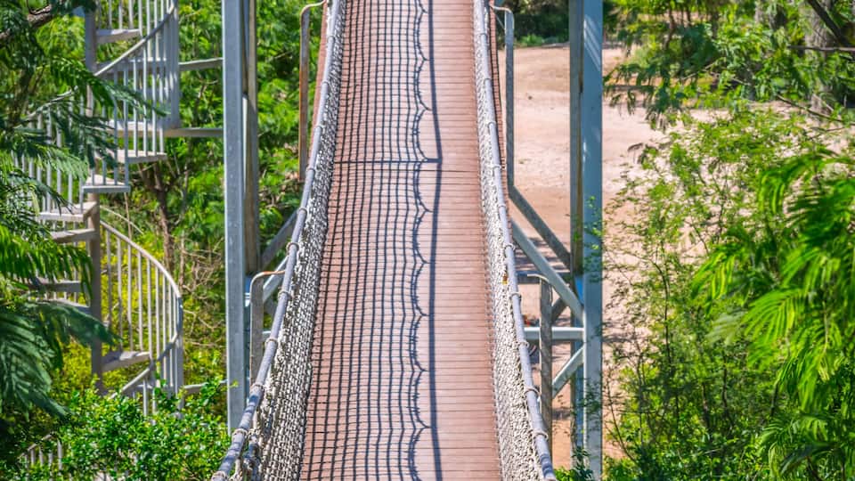 A long canopy walk in Santa Ana NWR, Texas