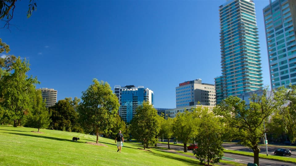 St Maarten and St Martin featuring a park and city views