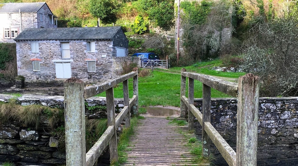Part of the footpath leading to Polruan. Lovely views of the River Fowey as it flows to the sea.