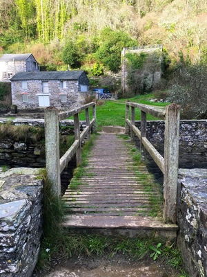 Part of the footpath leading to Polruan. Lovely views of the River Fowey as it flows to the sea.