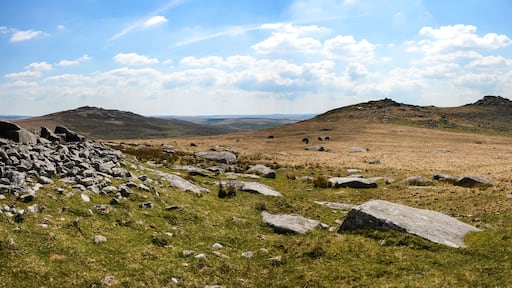 كامبيلفورد