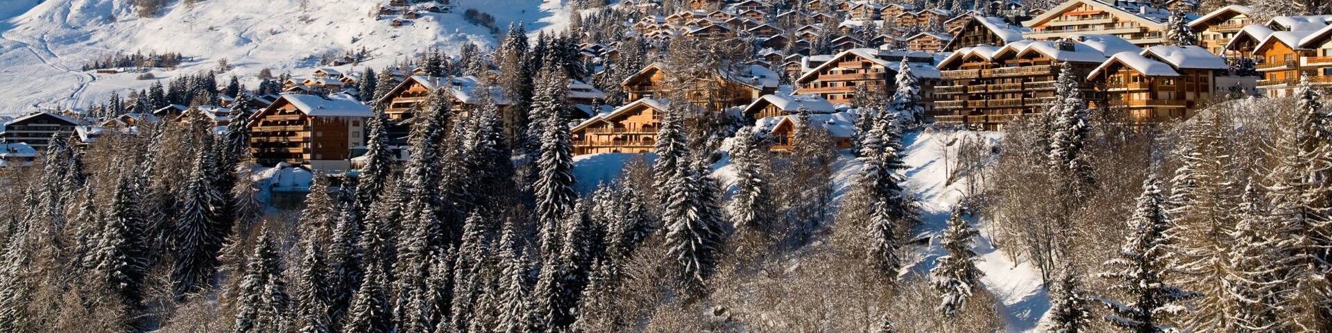 Verbier featuring forests, snow and mountains