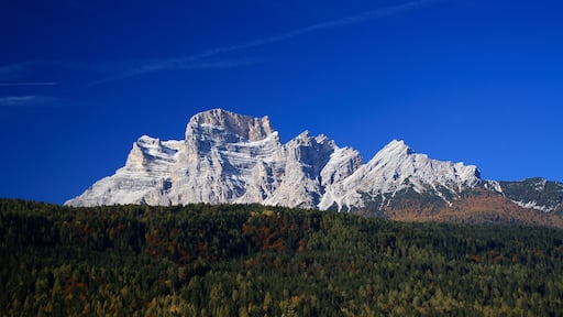 بوركا دي كادوري