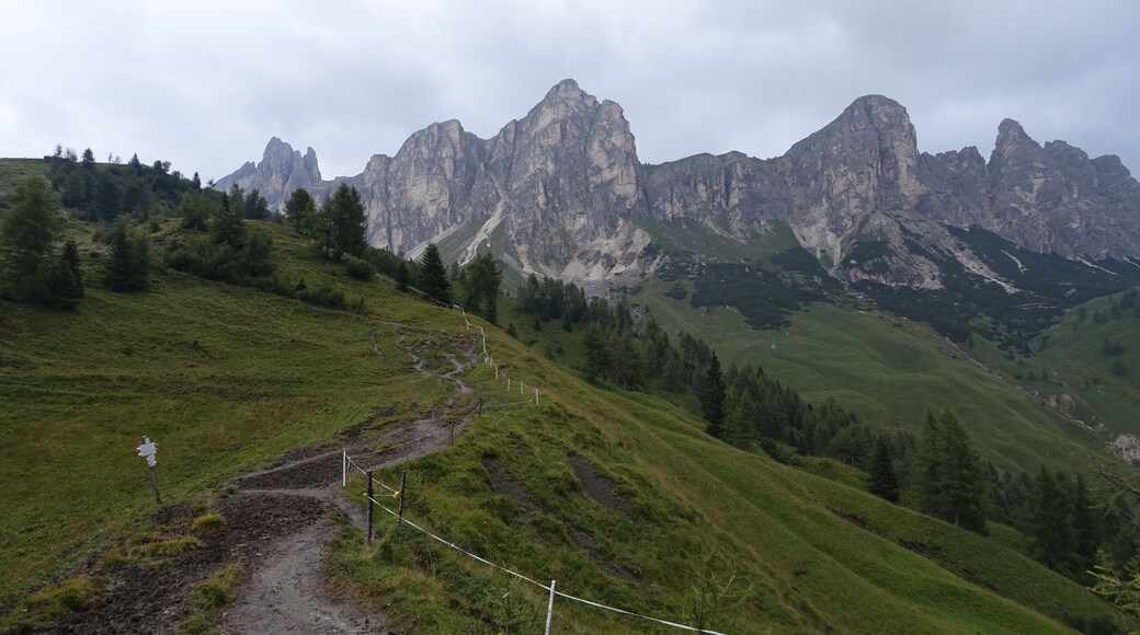 32040 Borca di Cadore, Province of Belluno, Italy
