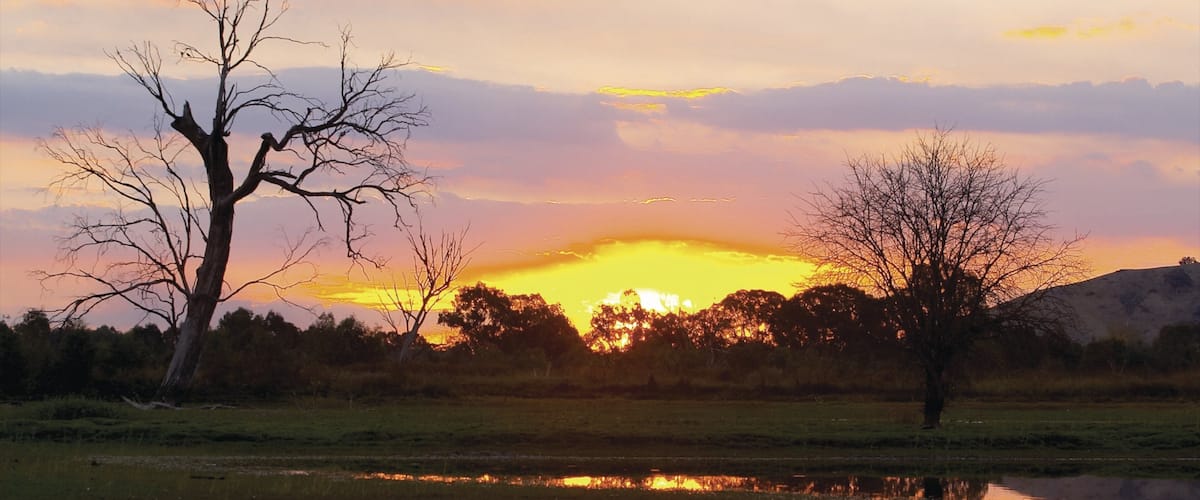 Albury mostrando una puesta de sol, vistas de paisajes y un río o arroyo