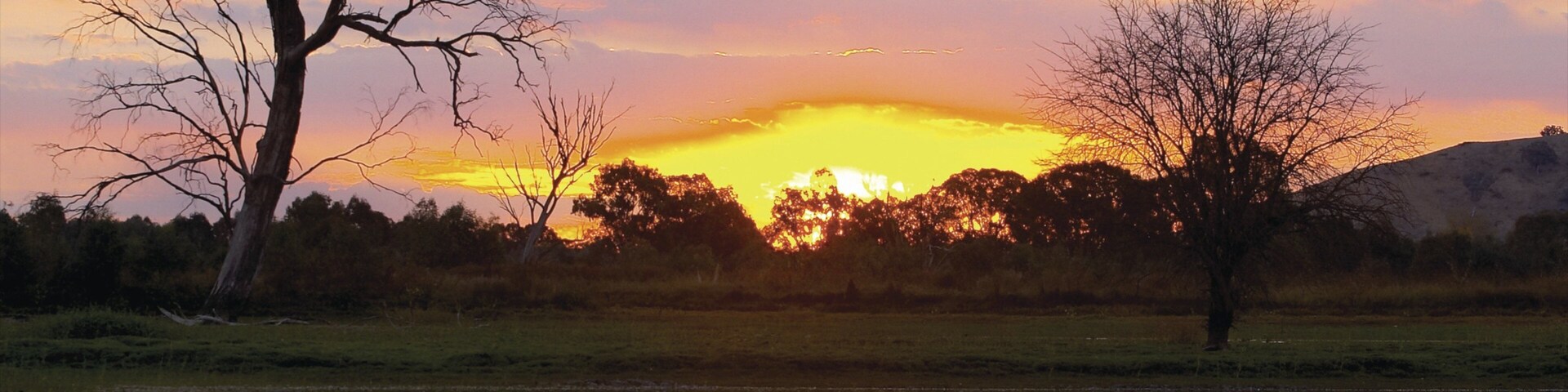 Albury caracterizando paisagem, um rio ou córrego e um pôr do sol