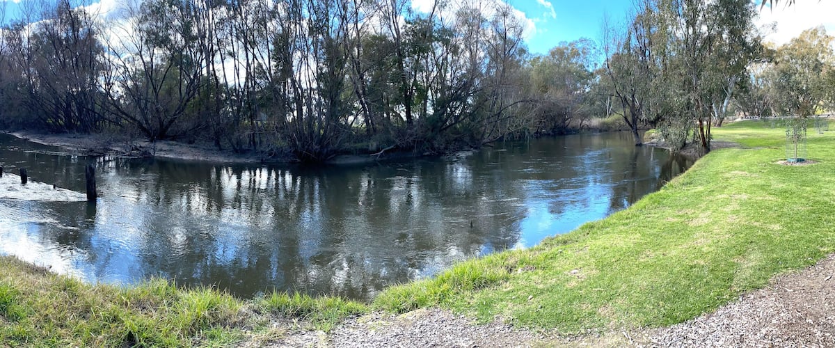 A river with a grassy bank, trees, and a clear sky.