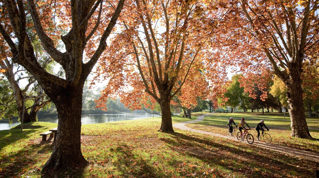 Albury