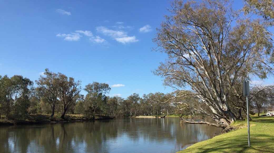 Beautiful spot for lunch on the Murray River. #murrayriver #albury