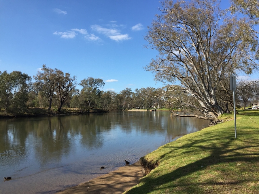 Beautiful spot for lunch on the Murray River. #murrayriver #albury