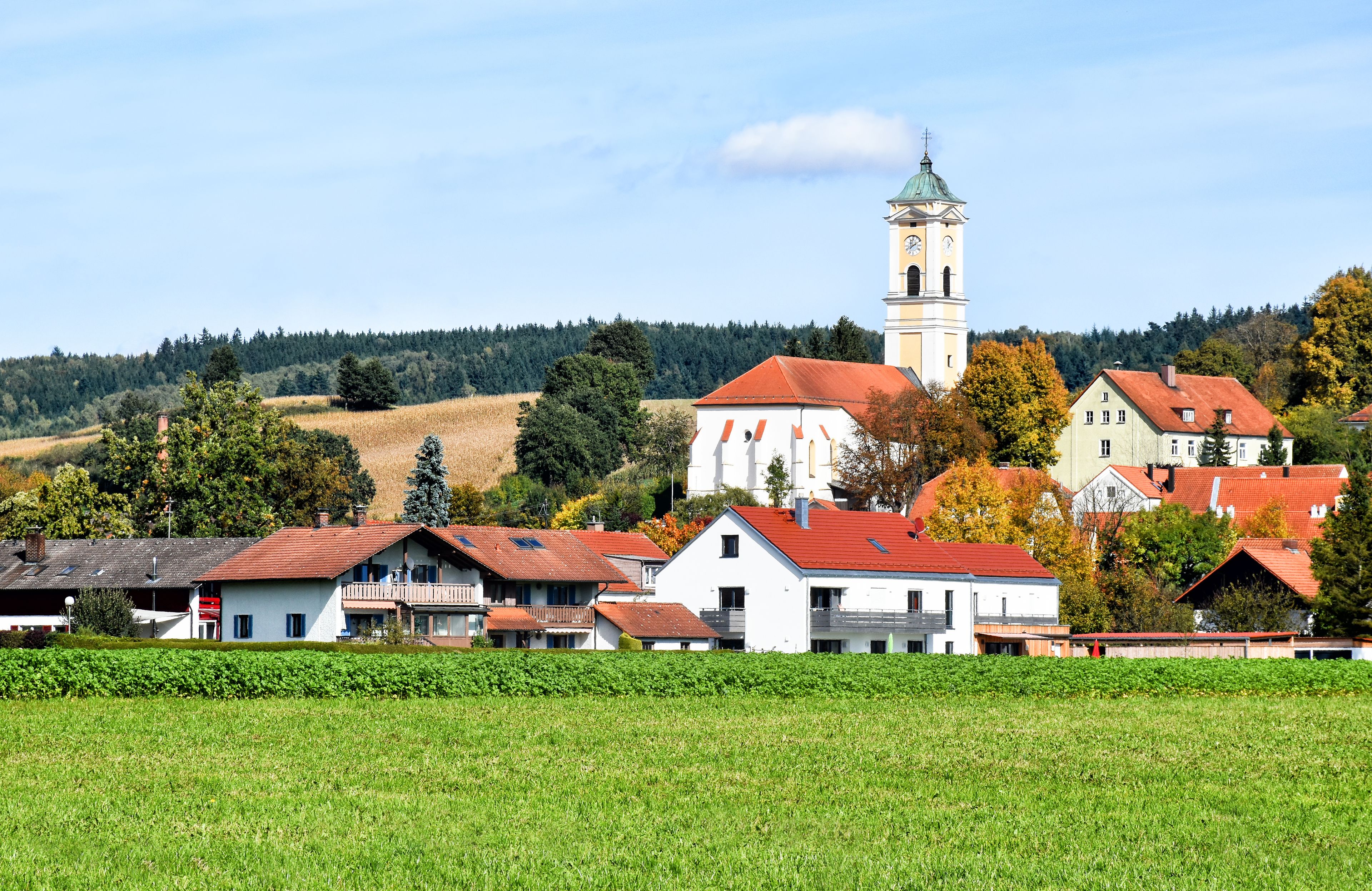 A village with a prominent church tower, surrounded by residential buildings and a lush green field.