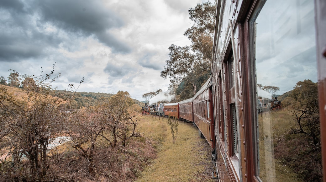 Maria Fumaça - Bento Gonçalves - RS -Brazil