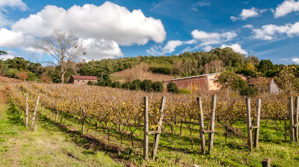 Cantina e Casa Strapazzon, Caminhos de Pedra, região de Bento Goncalves, Rio Grande do Sul, Brasil, foto de Zé Paiva, Vista Imagens.