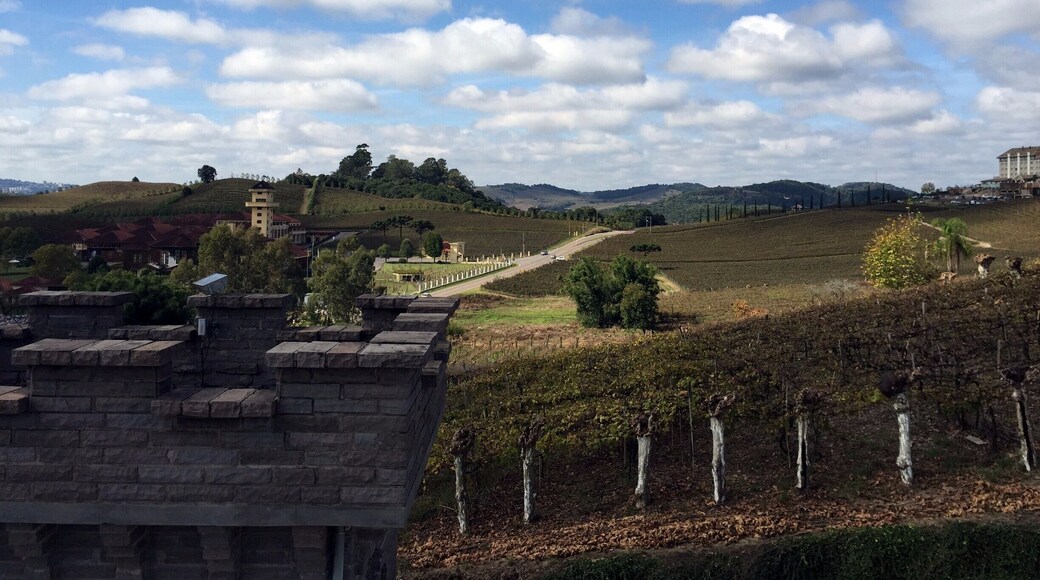 View from the top of the castle at Cave de Pedra.