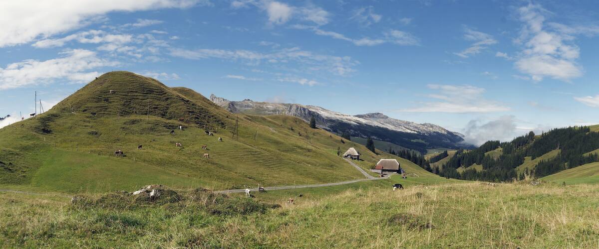 A mountainous landscape with grazing cows, a thatched-roof house, and a clear blue sky.
