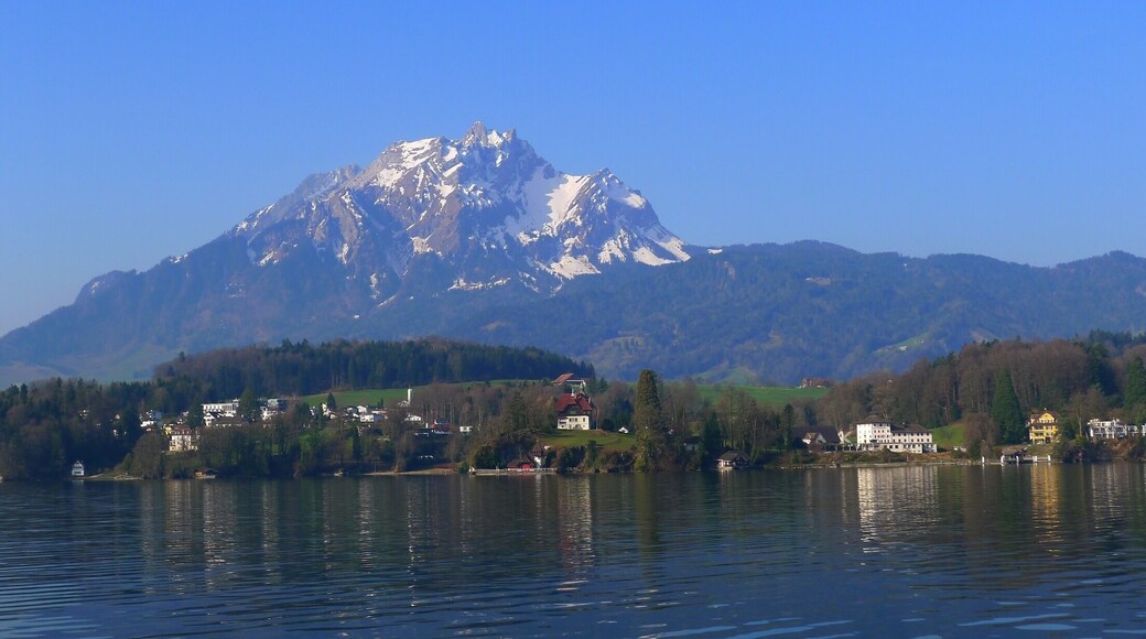 Out on Lake Lucerne in the early morning