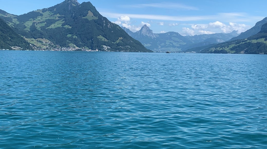 Vierwaldstättetsee (Lake Lucerne) - Swiss 🇨🇭