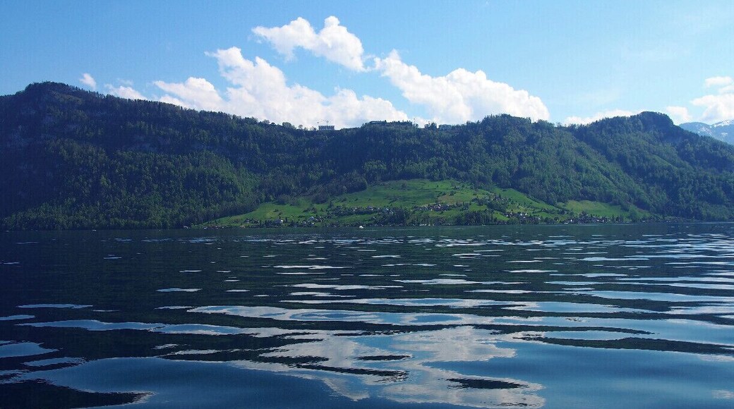 An hour-long boat tour of Lake Lucerne is about CHF 20 per person, and is quite spectacular on a sunny day. This was taken on the "Spirit of Lucerne," which can be found just across the bridge from the train station, though there seem to be several options available on the lakefront.