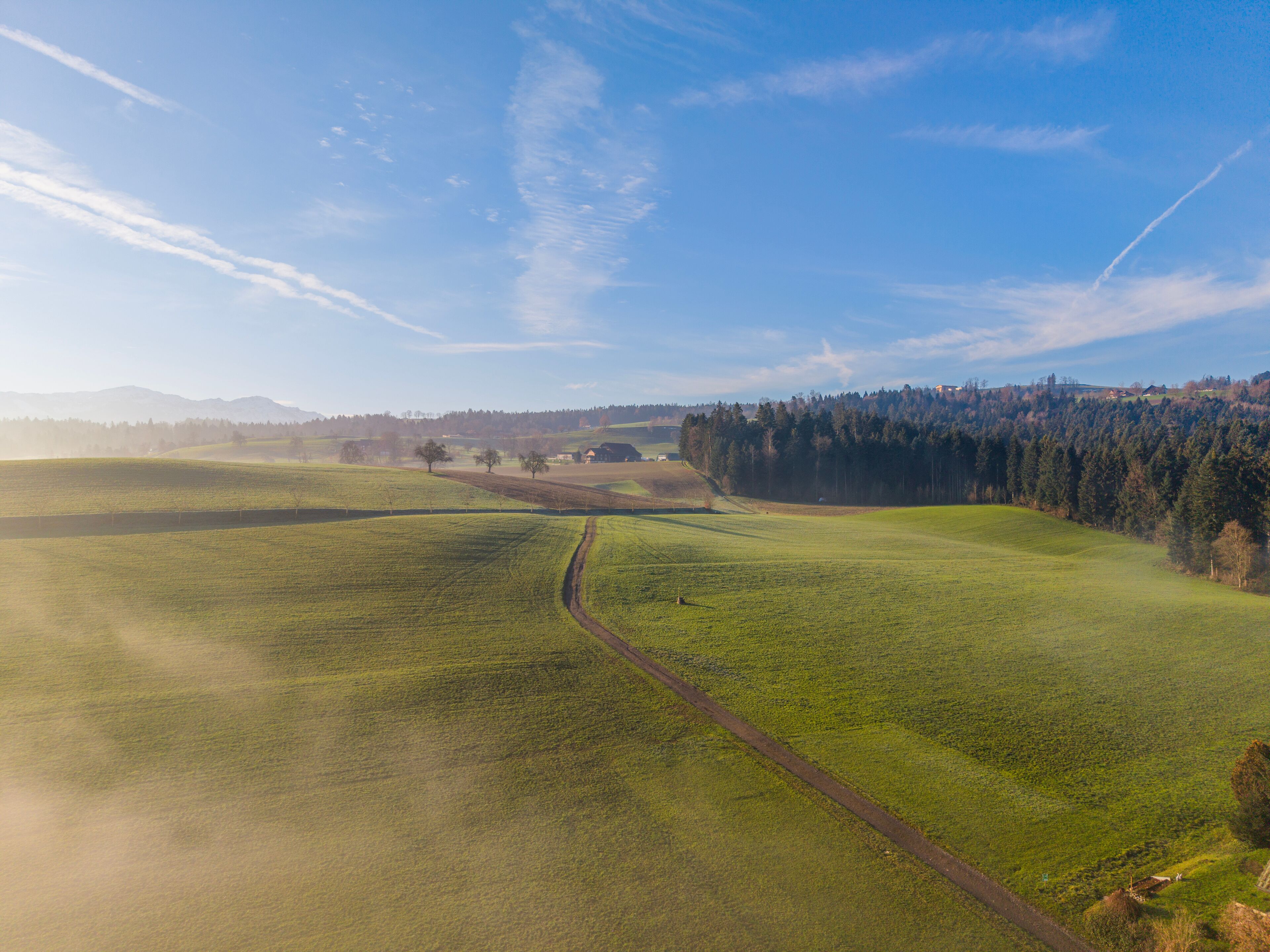 Misty Neuenkirch Fields