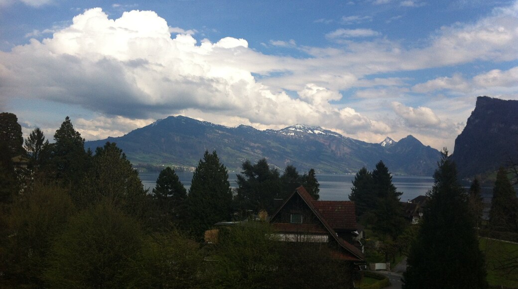 Caption---- Kastaniembaum, Lucerne, Switzerland - Lake and Mountain view