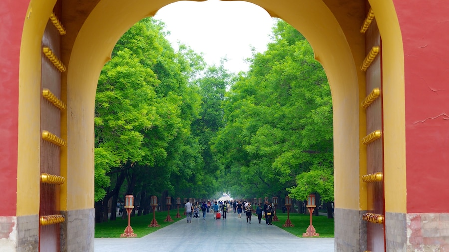 Temple of Heaven showing a temple or place of worship, religious aspects and a garden