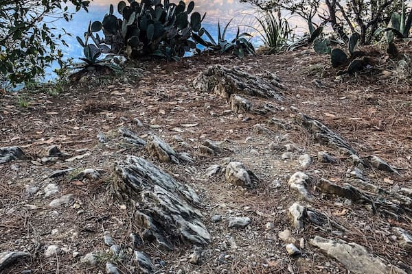 Paesaggio roccioso con un cactus e una catena montuosa sullo sfondo.
