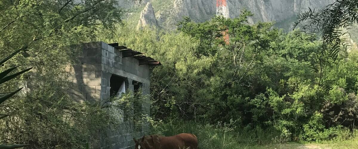 #green
Preclimb views