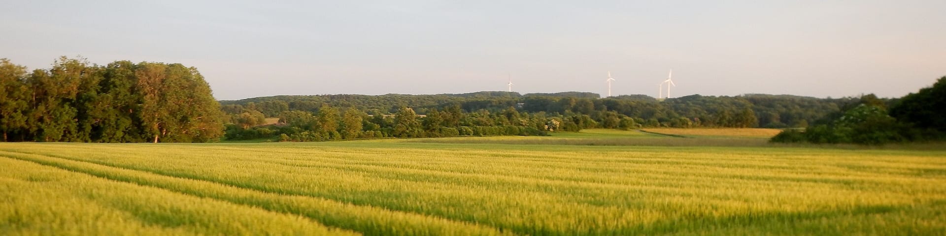 Abendsonne bei Mühlhausen