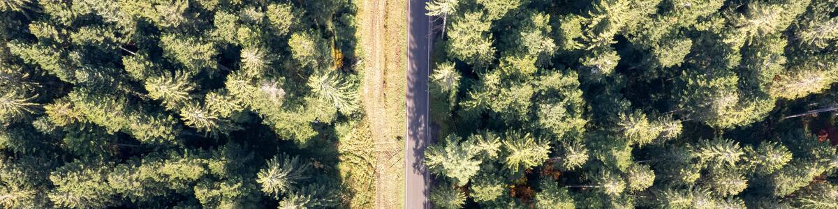Aerial view of lush forest and winding road in Blackforest Autumn Roads, Odenwald, Germany.