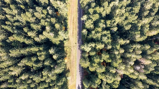 Aerial view of lush forest and winding road in Blackforest Autumn Roads, Odenwald, Germany.