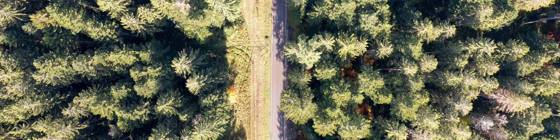 Aerial view of lush forest and winding road in Blackforest Autumn Roads, Odenwald, Germany.