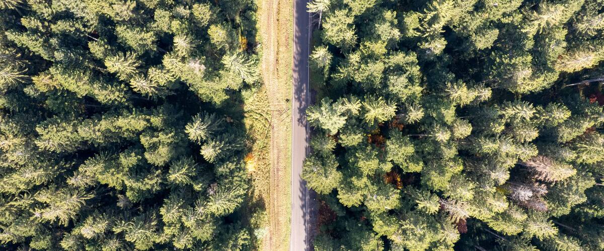 An aerial view of a road cutting through a dense forest.