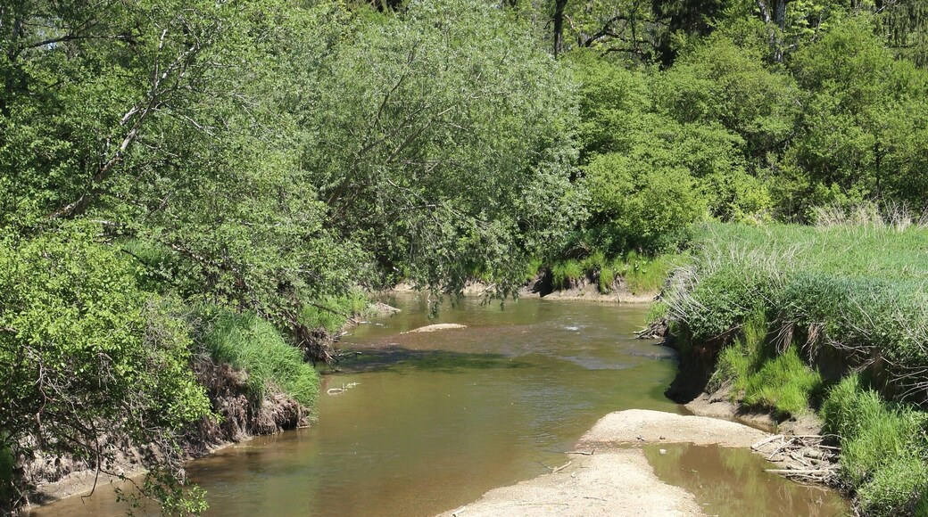 This is a picture of the protected area listed at WDPA under the ID