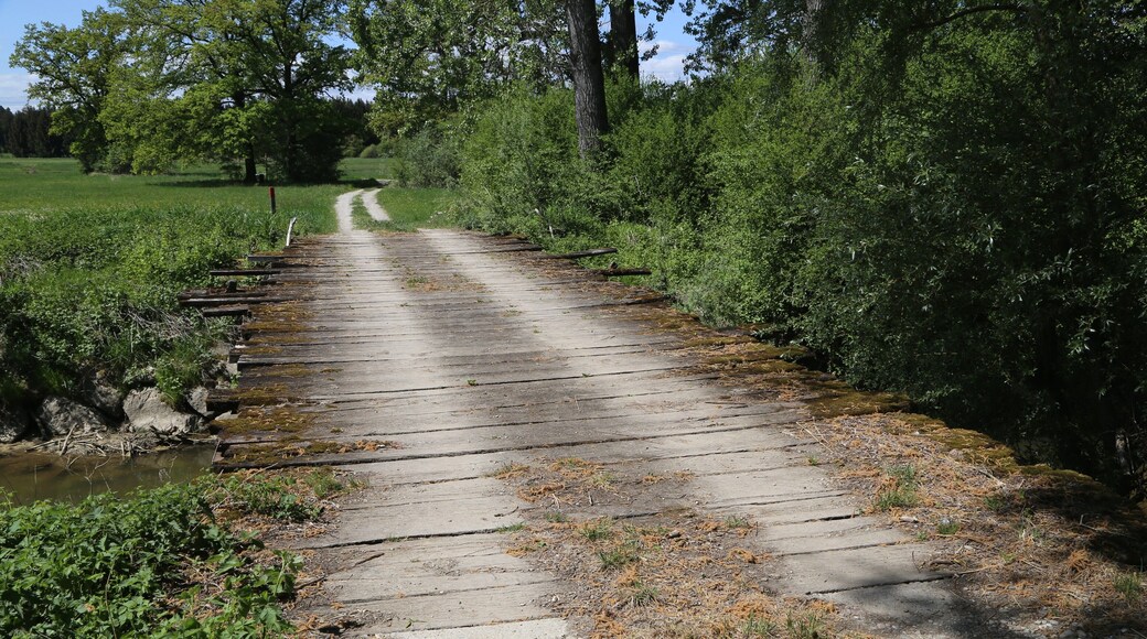 This is a picture of the protected area listed at WDPA under the ID