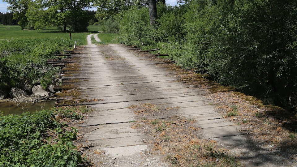 A wooden bridge over a stream surrounded by greenery.