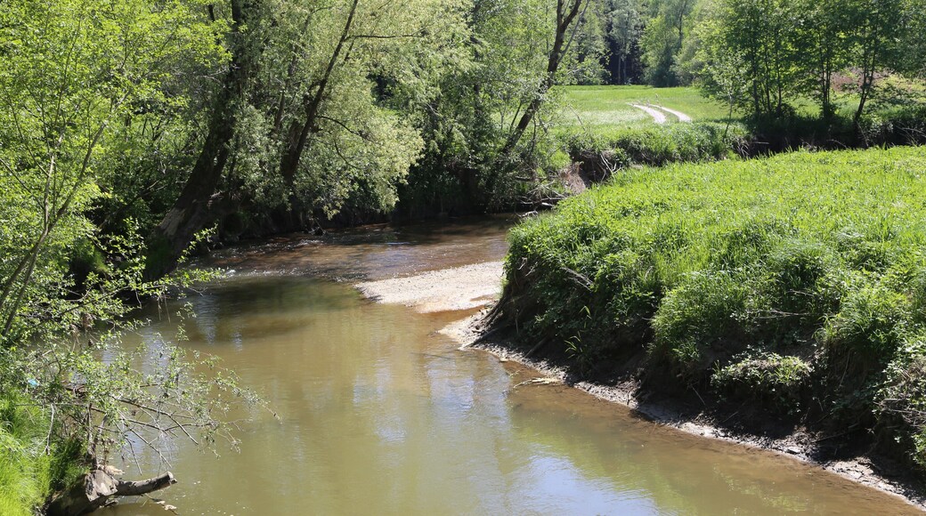 This is a picture of the protected area listed at WDPA under the ID